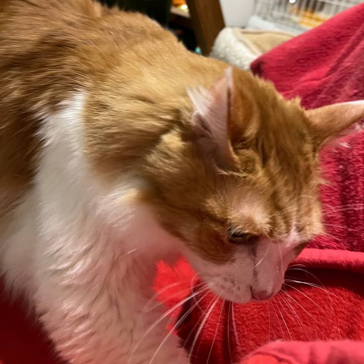 F15ab3d1 30eb 4cd9 b66c 557fbe347db6 1646394479523