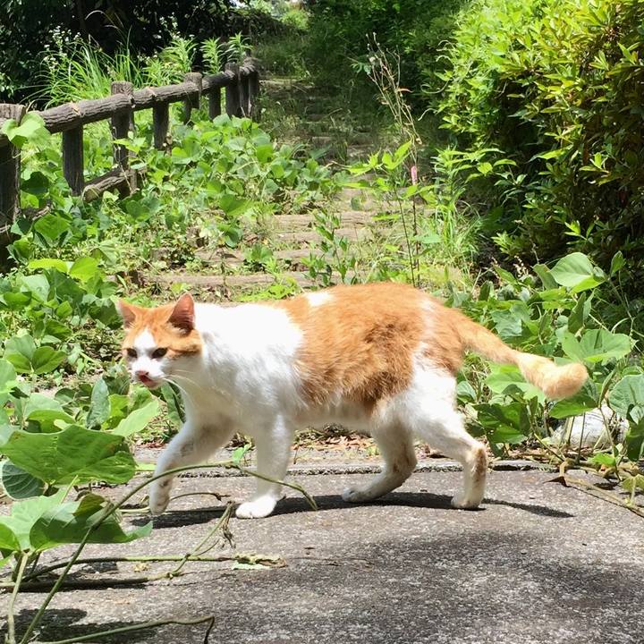 F15af576 327d 46b9 882c d5fec0af6db3 1560518147632