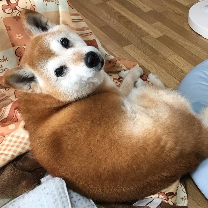 F15b1f33 d0ab 494d 9489 1af09f09adbf 1529329197193