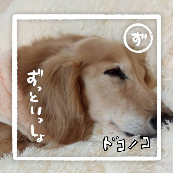 F15b8268 df0e 44f3 a32d 51fbec684a2c 1685961089762