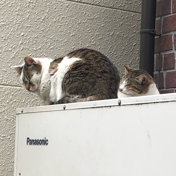 F15bf482 2dfd 4940 9f4a 44cf846bda5d 1555331352925