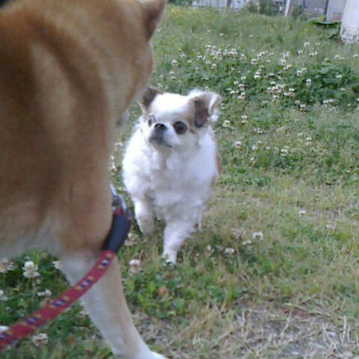 F15c1257 55f7 4405 89dc ebaf0c9e8a80 1525043051258