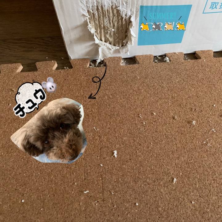 F15c22c2 b331 4f50 bacb ed2f65105a19 1593839111541