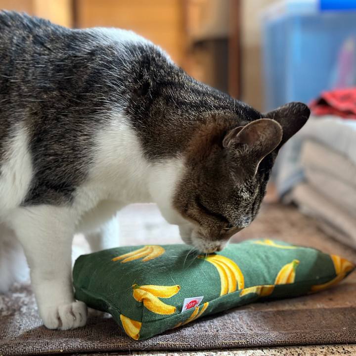 F15c2b38 41e9 4026 99e1 384e9ee381a1 1665283223406