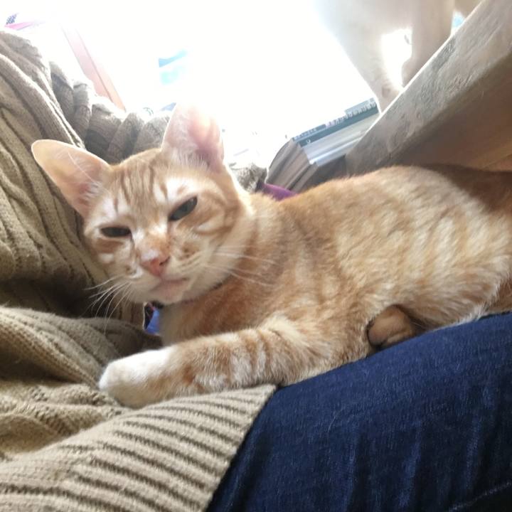 F15c34f2 428c 40a7 b855 1c82821b90b5 1547294085497