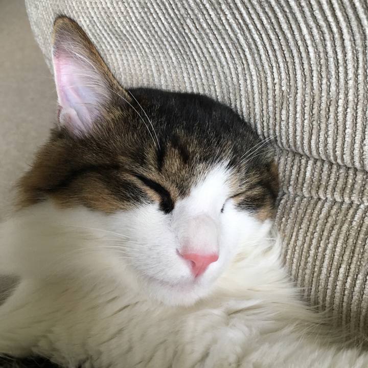 F15c5009 d57a 4be4 9788 f3bf5c54432b 1509677582651