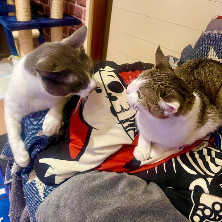 F15c9ef3 cd09 463d bace 7572c937f659 1635677869778