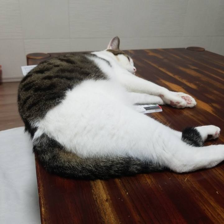 F15cbd8f 7d53 484c 8fc6 0253c48e65db 1571007399616