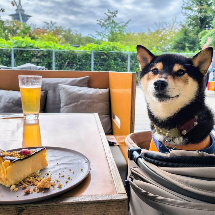 F15cc21c 38d6 4ef6 ae83 a3150576d5c2 1761405912842