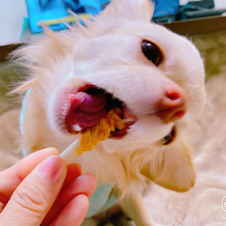 F15ce614 bad6 44fd b56c bae193fc151d 1637386377755