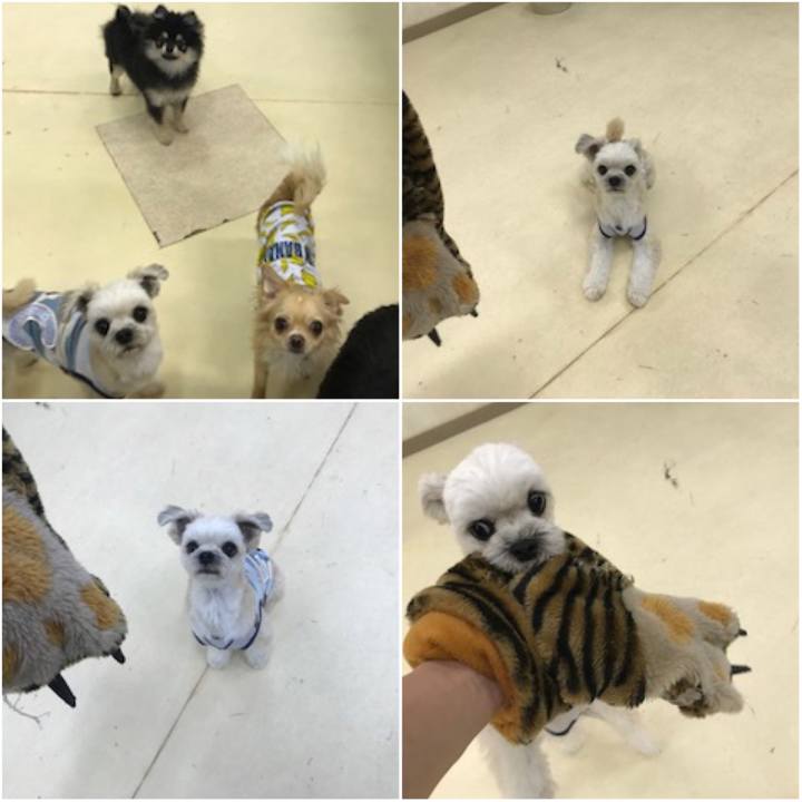 F15cebf6 19e8 43f0 afbe 50bddff008eb 1560417092720