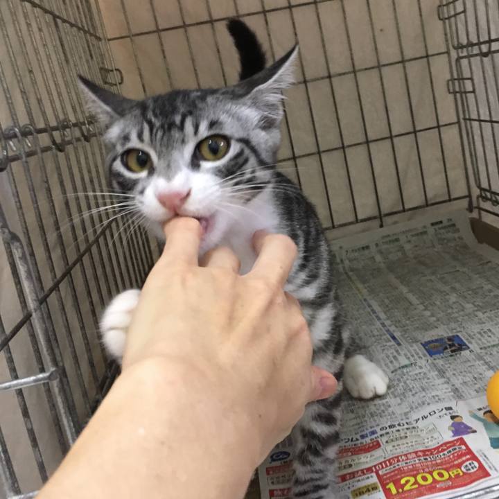 F15d1bc3 9a5b 4d45 a41c 52e8473ad12b 1565430469516