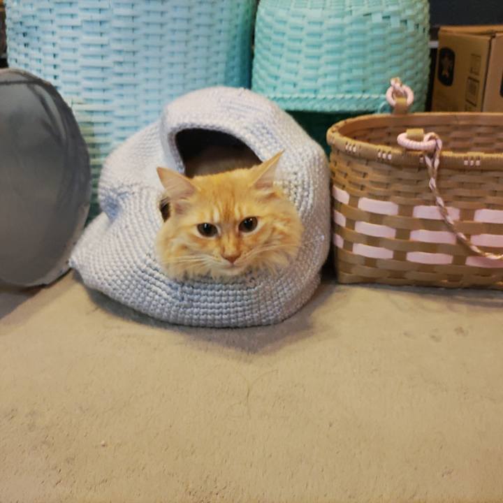 F15da857 5d77 428f a6c0 79c80fe29c03 1663984520975