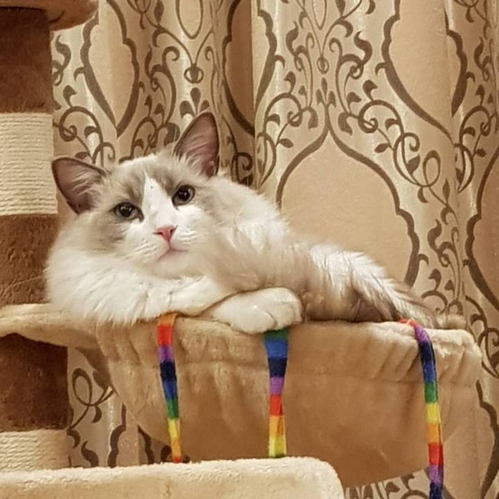 F15daf8f 2474 4485 8c9e 25aa1b74a9f9 1575810729918