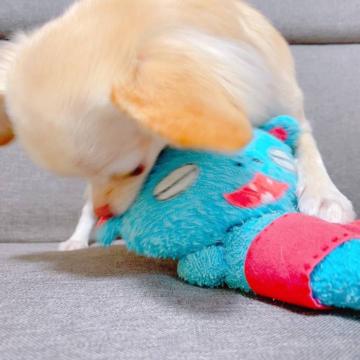 F15dbf9d 098e 40d0 87fc 43be43f218cc 1635671149633