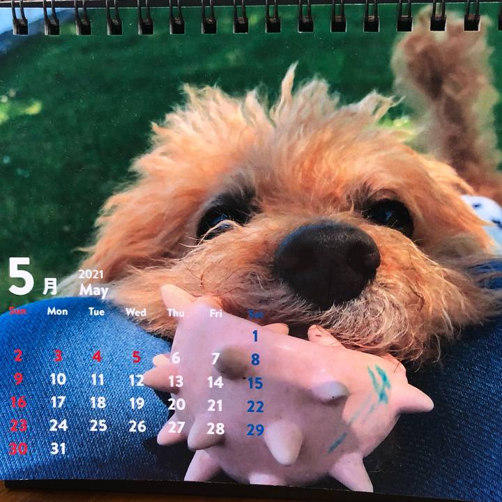 F15dc65b ef81 4e86 b8eb e9b71bbe60c2 1620005662496