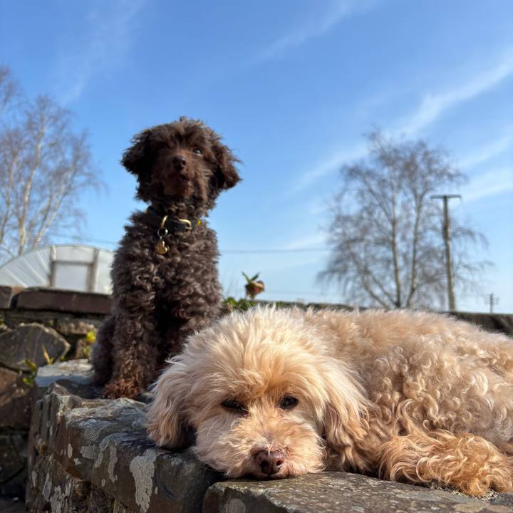 F15e17bd 0fc5 429f be8e 1ddb17e7c8fa 1774091220545