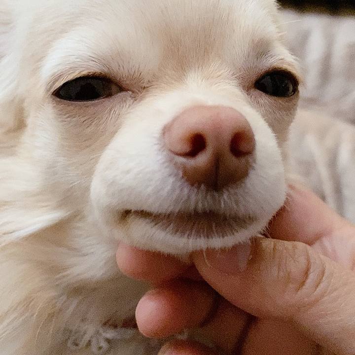 F15e1fef fef0 4dee 93f2 59e19938d8cd 1617598601404