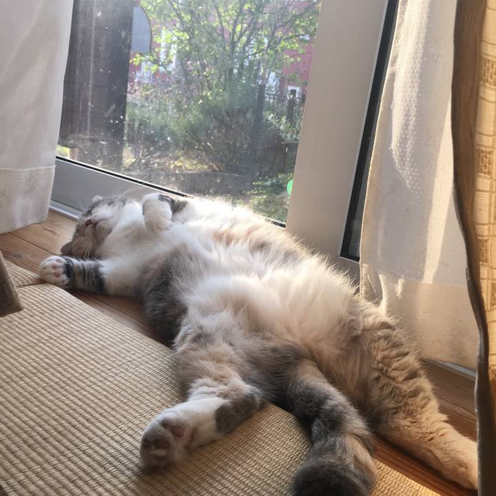 F15e4619 ac56 4eb5 8fdb 48998167dca9 1565263022237