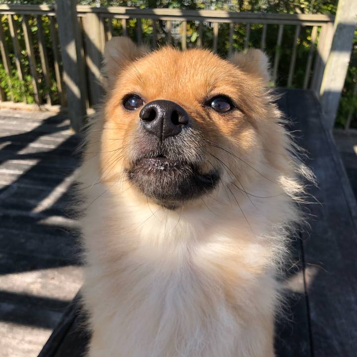 F15e5408 ed85 426d 97db 55d42ea073f4 1604131525592