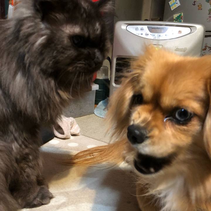 F15e5ca9 96f3 4ee9 9e54 5cf060d8aa1b 1548714406089