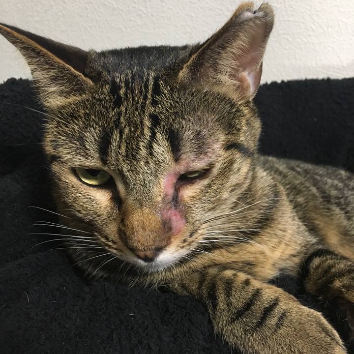 F15e8458 4993 4ba6 9bcd 1086f7ddc3b9 1541584539559