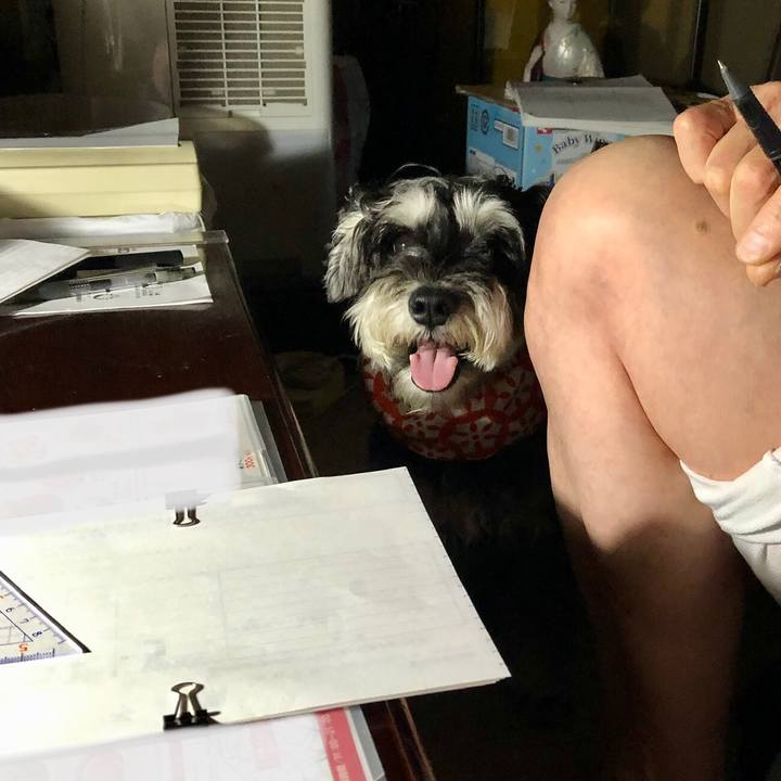 F15e8e8d d81d 4677 a3f3 2a62a12861c6 1659779620035