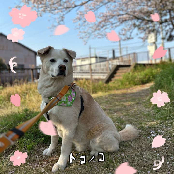 F15eaaea cc36 42fc b472 9cf0d371fddd 1744289884482