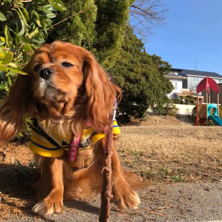 F15ec378 7e25 4a6b 9676 72472461c9fc 1643503111248