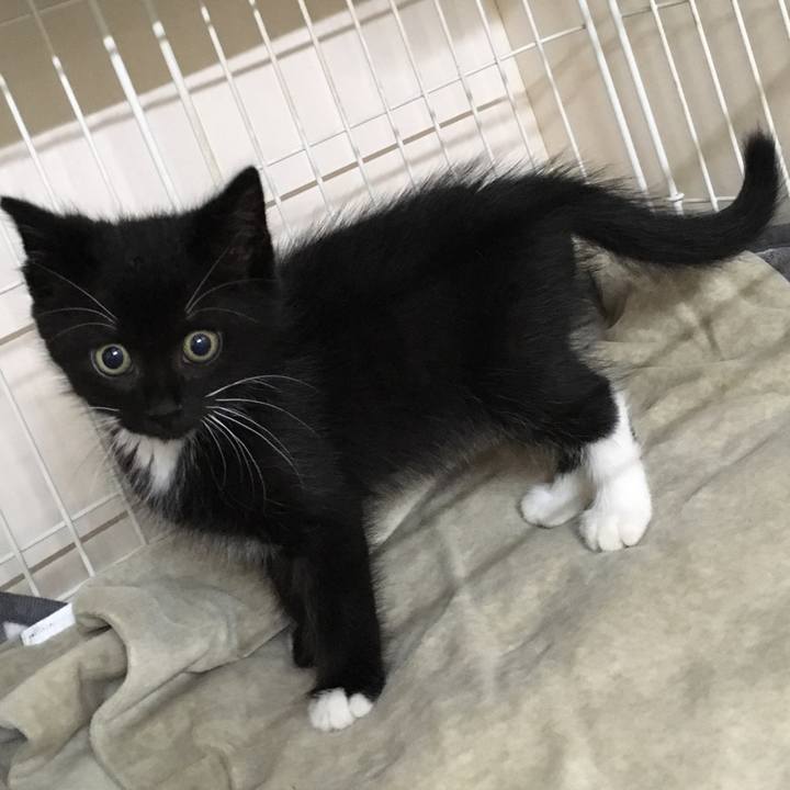 F15edc28 db32 4b7c b73e cd2bbc54bc57 1562144039346