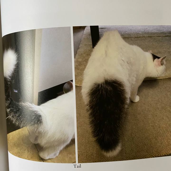 F15ee291 0611 4fdd 852b 2f3b58e3a737 1663713189029