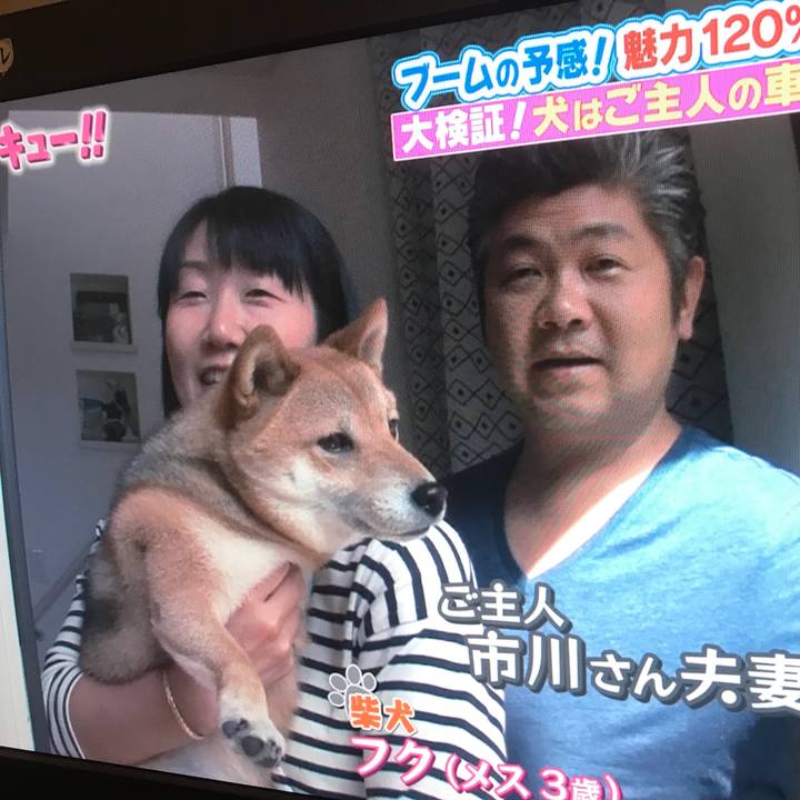 F15ee5dc 0975 4d54 b33d 481ac5c17222 1510742036472