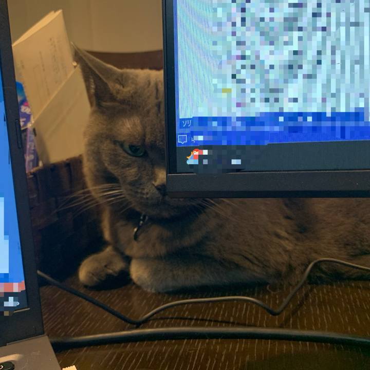 F15f5651 e168 4073 a8df c4093f53d951 1764068006904