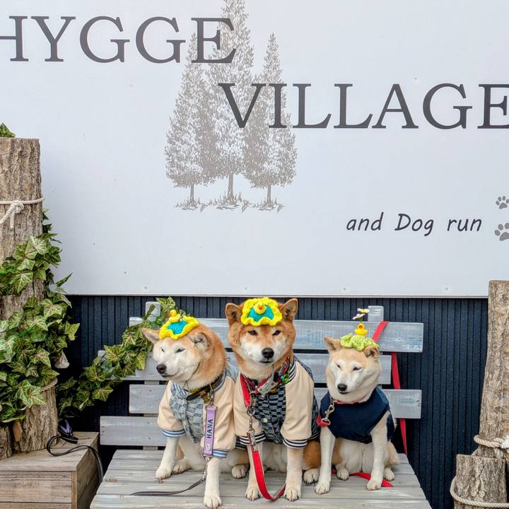 F15f7b33 3294 4158 a61c db2169e817d0 1742454117570