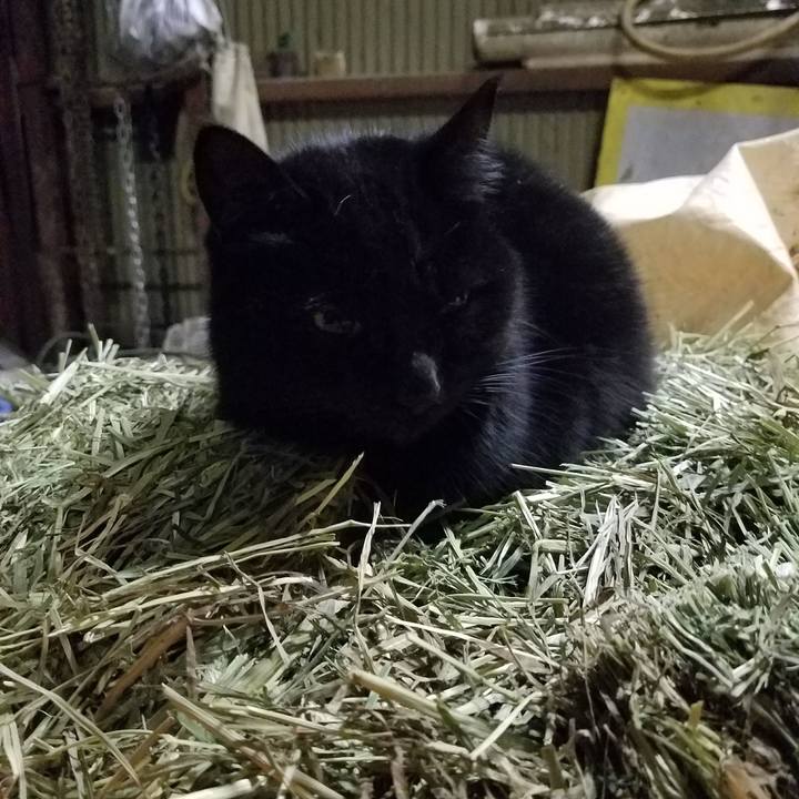 F15f94b9 702b 4fc8 be16 3f5a41d1b4ca 1516568657536