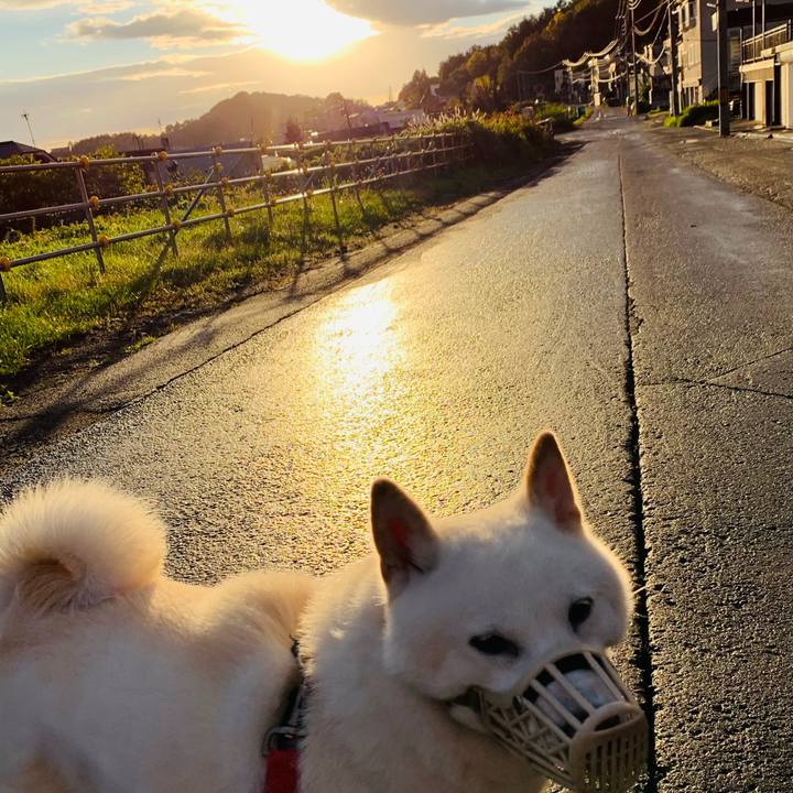 F15f9700 c71f 4eba ba31 eae19947eb04 1602021317181