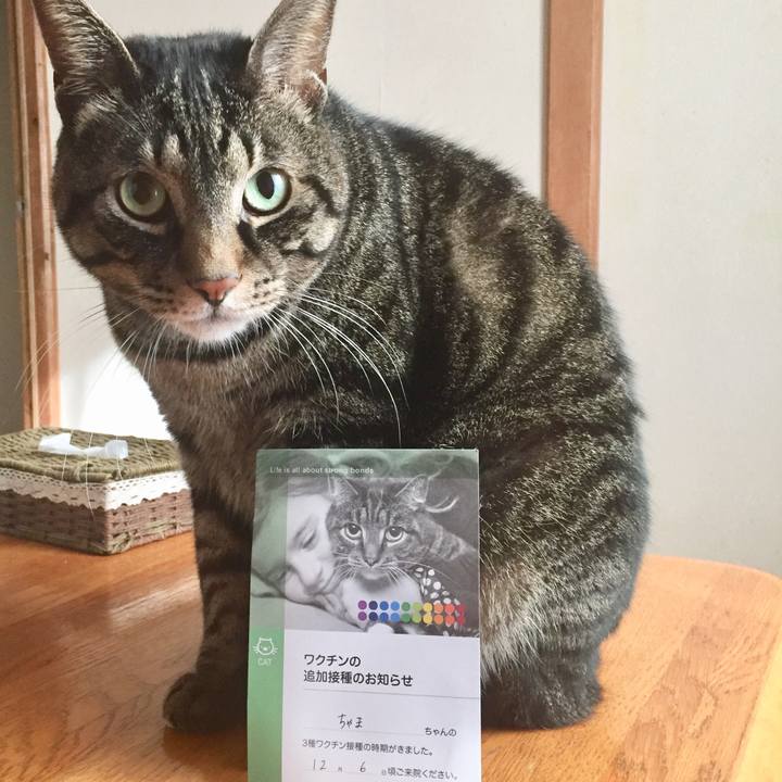 F15fa251 3d75 4cdd 8b04 4c766e8bcf33 1575513380362