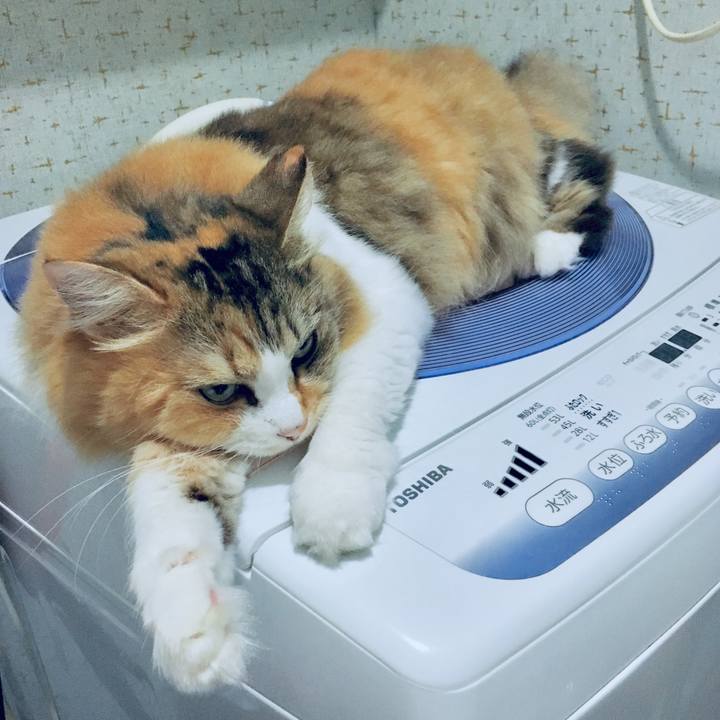 F15faac7 999f 4ef1 9968 00ed906249e3 1568089749208