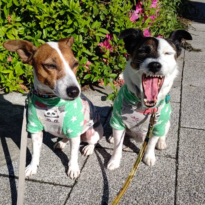 F15fcdc5 fca2 4f27 adf4 feb2ccc678de 1682981751820