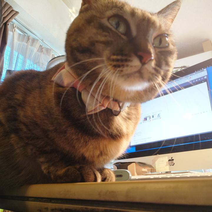 F15fd246 dbc3 44eb abf7 ce1e9e40e877 1773299843830