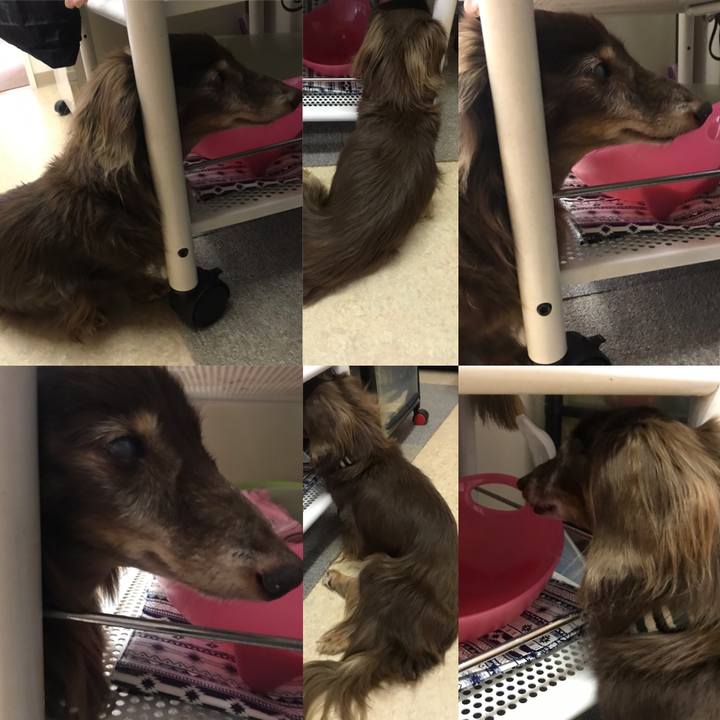 F1601086 1d85 4a29 96ec 0883fe1937d5 1601559400925