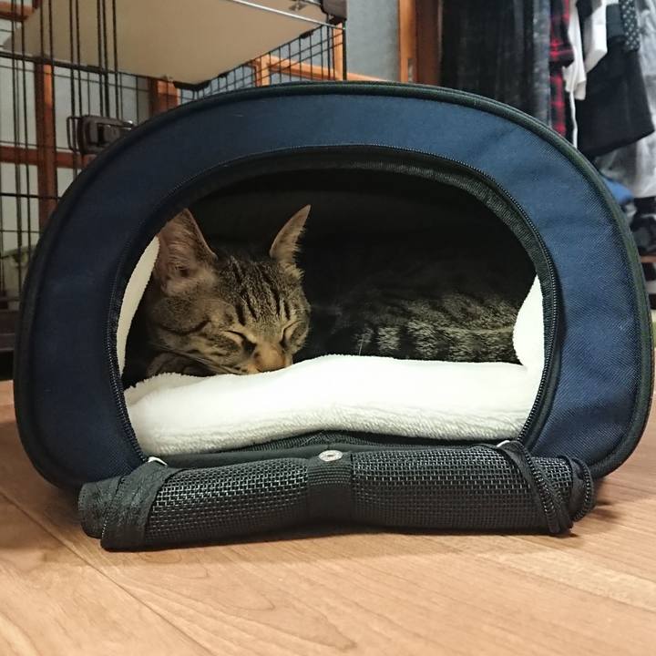 F16023c5 4eb9 4fa6 9c54 dce17c32b6d8 1525001480503