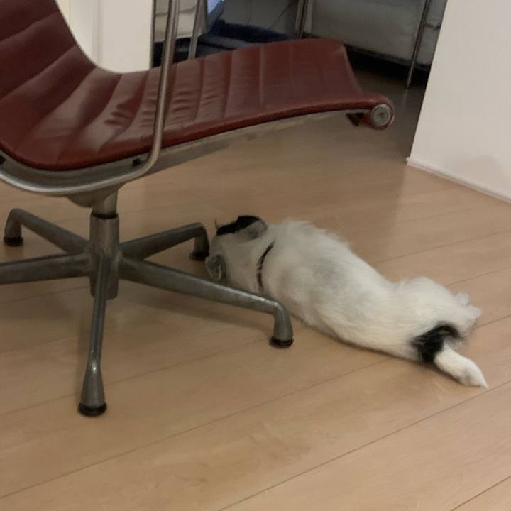 F1603feb 8eef 4096 84a9 f62822c3d425 1687605466280