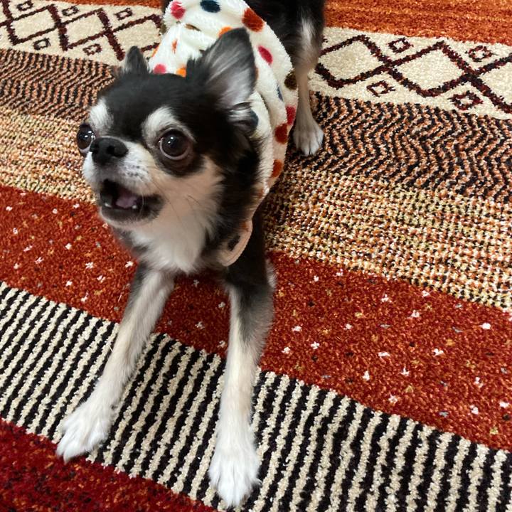 F160484c 7859 4b4a be0d 98f58cbd5b8e 1671377315137