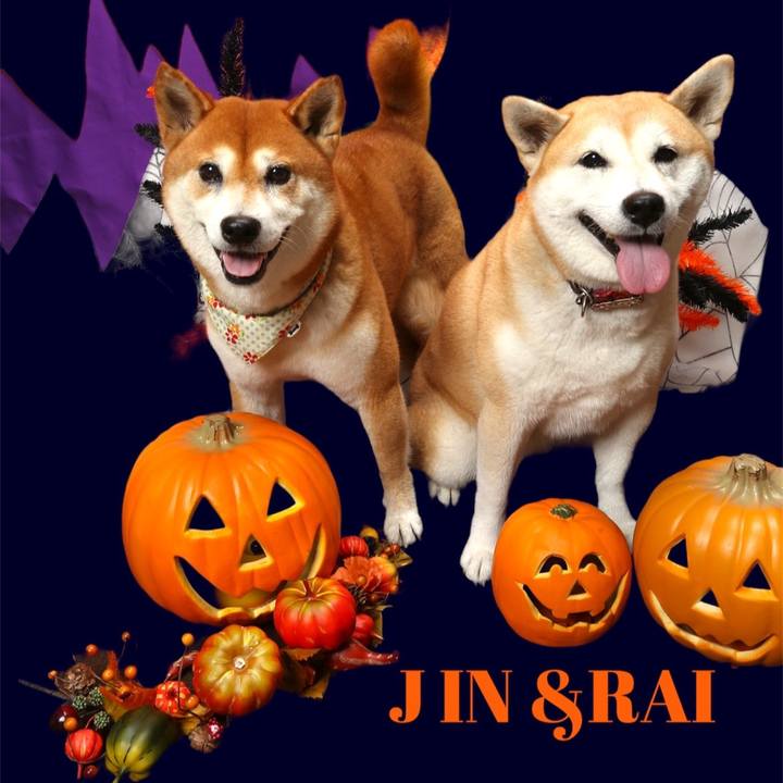 F160a929 7fb8 4521 b8f4 1eb45dd6c06a 1633124663678