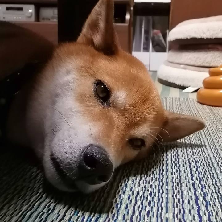 F160c044 d2c3 4cb1 a47d 880917e6c47a 1597065104554