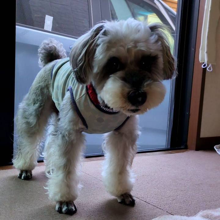 F160d5e4 2f37 40ce b26a f405b61158bb 1752013995078