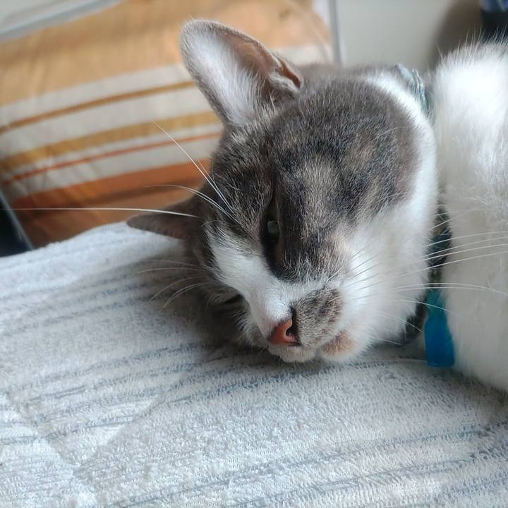 F160ee61 fb37 4cc3 aac4 907c53a9e167 1718931662781