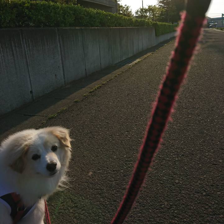 F16103aa 518f 4837 9224 24f1b9d231b6 1525038725389