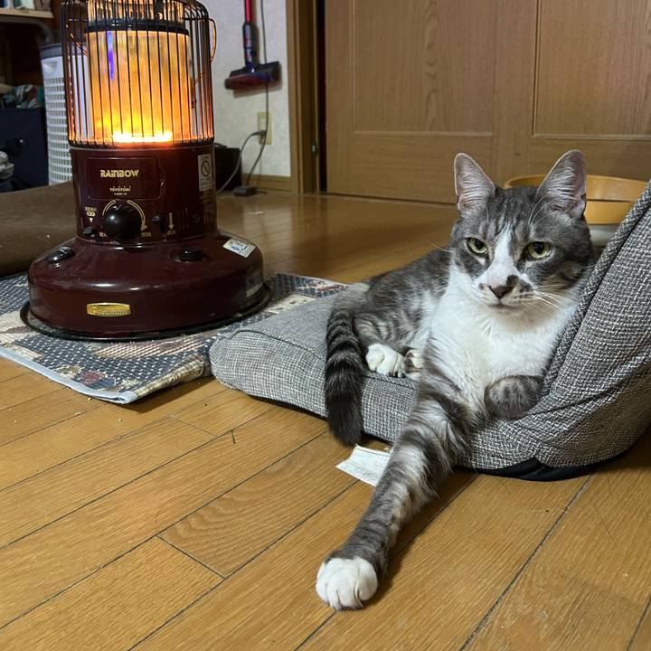 F1611611 1634 4a8c 86fb aa062150db8f 1771458866846